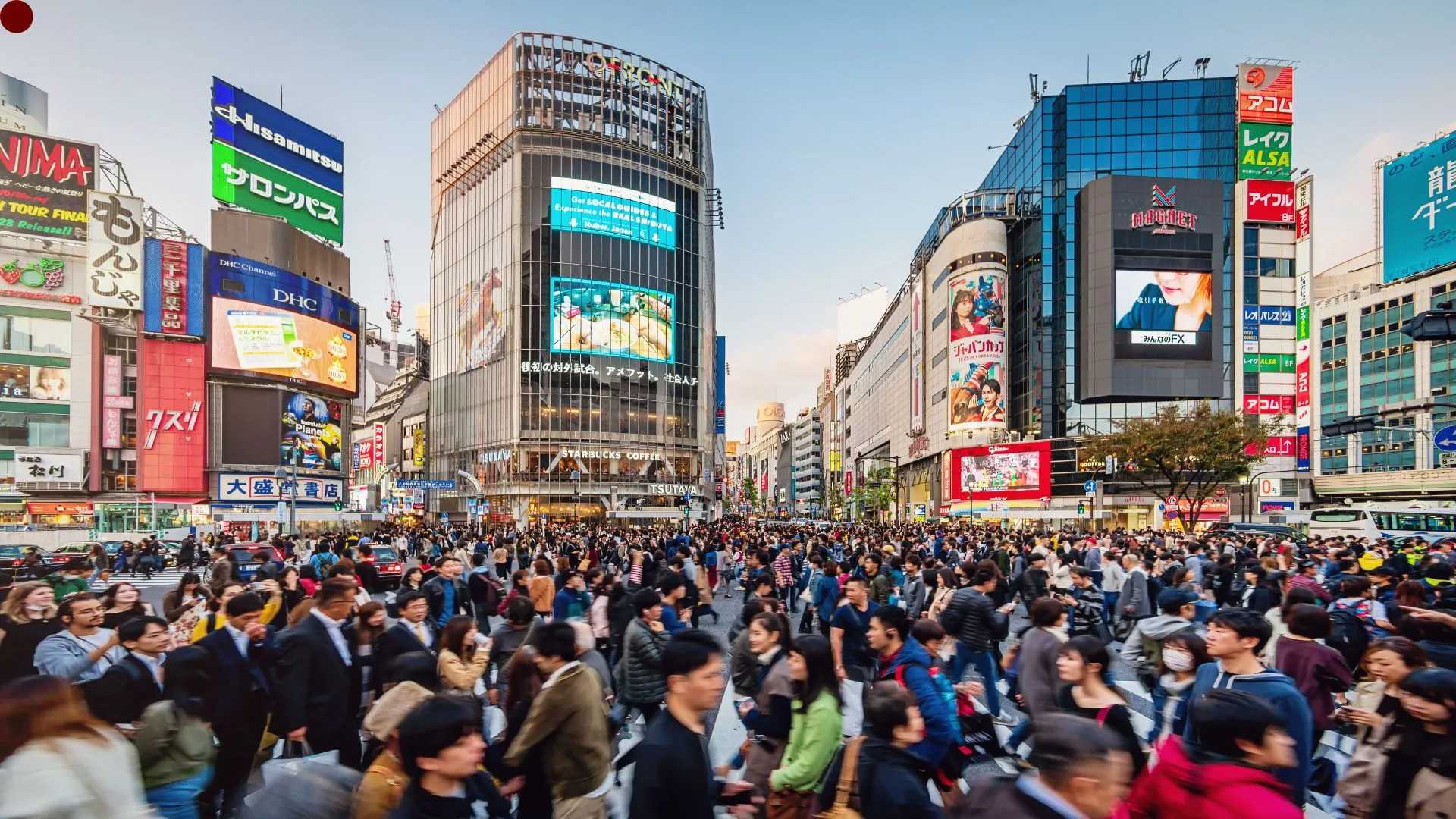 pelatihan bahasa jepang gratis - Pelatihan Bahasa Jepang Gratis: Cara Cepat Kuasai N5!